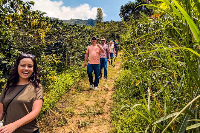 Half-Day Coffee Tour in Medellín: From the Seed to the Cup - Overview of the Tour