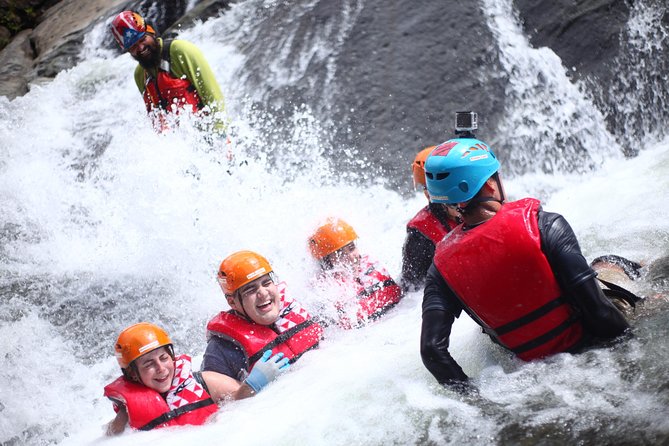 Half-Day El Yunque Rainforest Wilderness Adventure - Overview and Highlights
