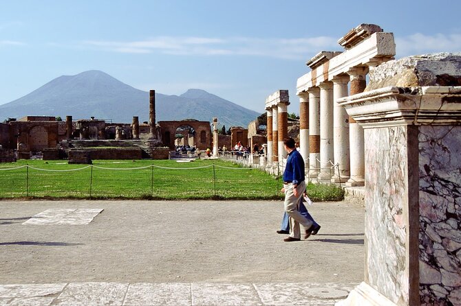 Half-Day Exclusive Private Tour of Pompeii and Herculaneum - Overview of the Tour