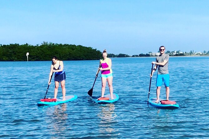 Half Day Excursion to Johns Pass Sandbar & Mangrove Tunnel