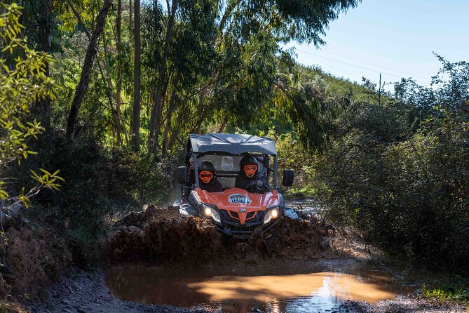 Half Day Getaway Buggy Tour