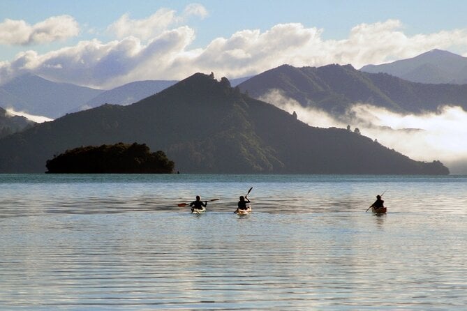 Half-Day Guided Sea Kayaking Tour From Anakiwa