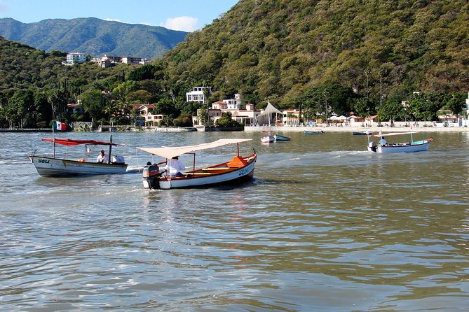Half-Day Guided Tour of Lake Chapala From Guadalajara