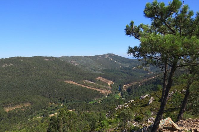 Half Day Hike & Picnic 2.0 With Dog Love in Portos Mountains - Picnic Lunch Inclusions