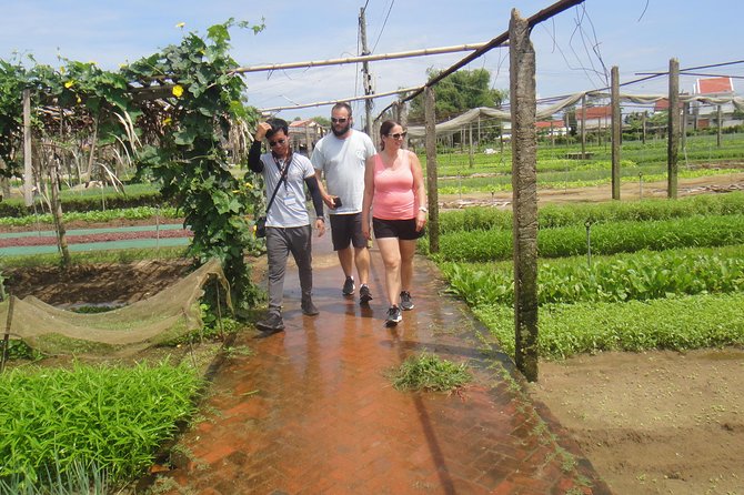 Half-day Hoi An Countryside Adventure By Electric Scooter - Tour Overview and Highlights