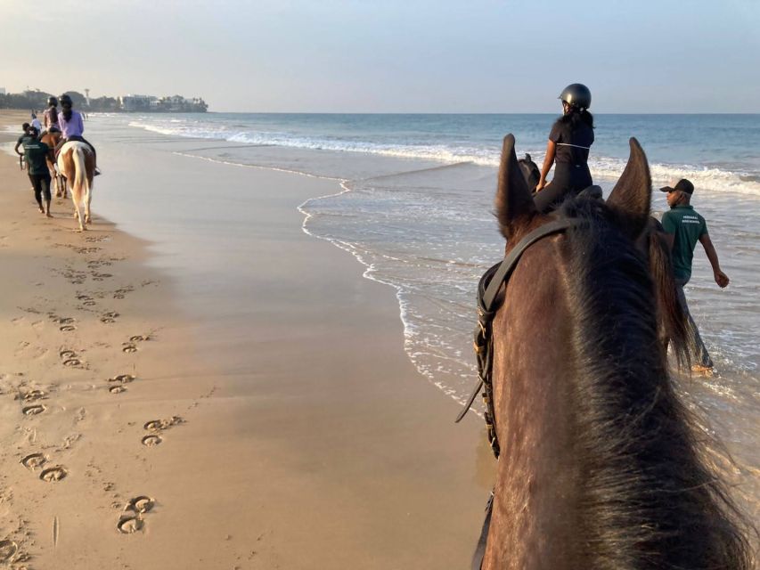 Half-Day Horse Riding in Kalpitiya