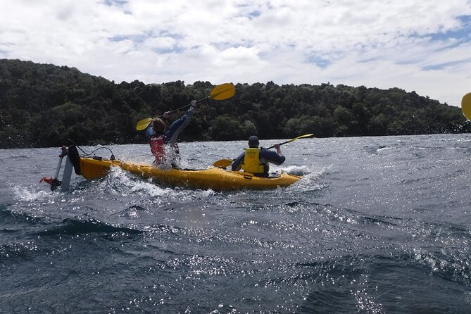Half-Day Kayak to the Maori Rock Carvings in Lake Taupo