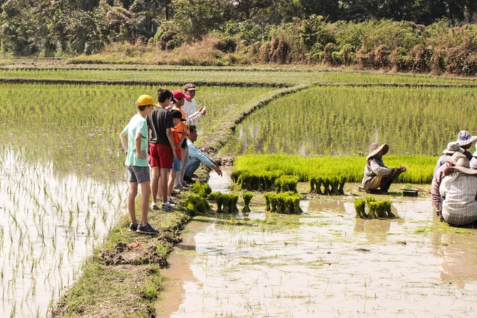 Half-Day Lanna Countryside Cycling Tour in Chiang Mai - Itinerary and Cycling Route