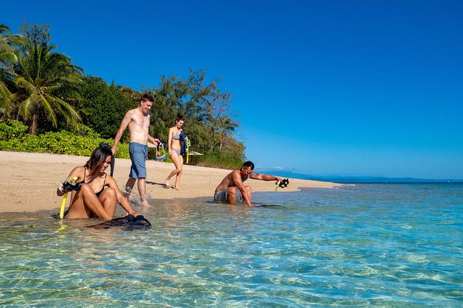 Half Day Low Isles Snorkelling Tour From Port Douglas