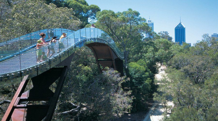 Half-Day Morning Perth & Fremantle City Explorer