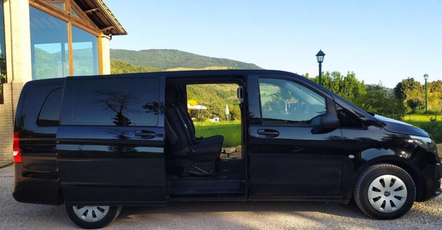 Half Day or Full Day Van Rental With Driver at Your Disposal