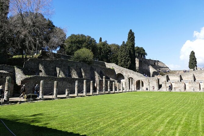 Half Day Pompeii Sightseeing Tour From Sorrento - Tour Overview