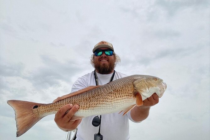 Half-Day Private Guided Inshore Fishing Charter on the Nature Coast - Overview of the Charter