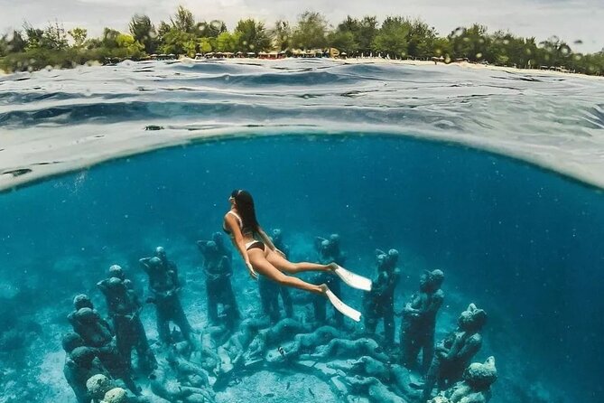 Half-Day Private Guided Snorkeling Turtles Underwater Statues