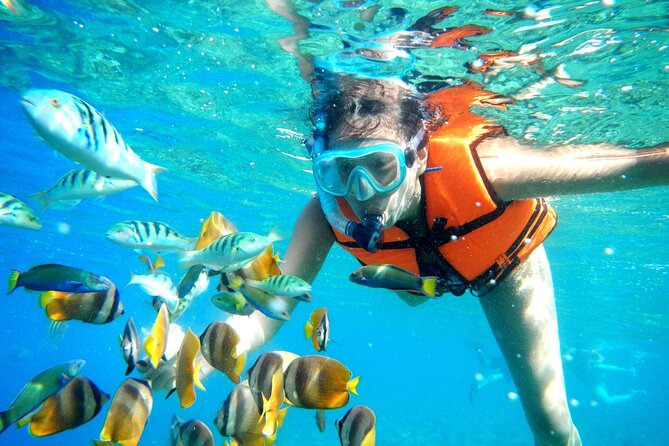 Half-Day Puerto Morelos Snorkeling Experience With Lunch - Details of the Tour