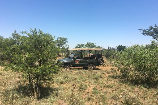 Half Day Safari Tour From Johannesburg