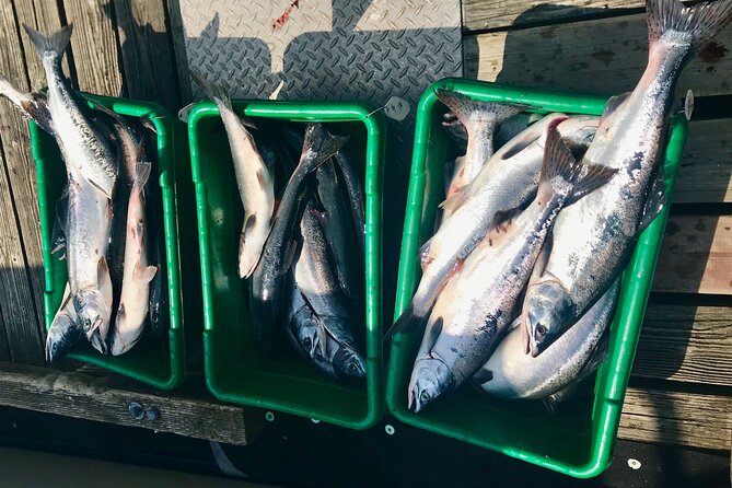 Half Day Salmon Fishing in Ketchikan