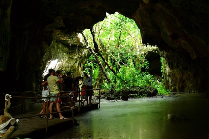 Half-Day Sea Turtle and Cenote Snorkeling Tour From Cancun & Riviera Maya - Tour Overview