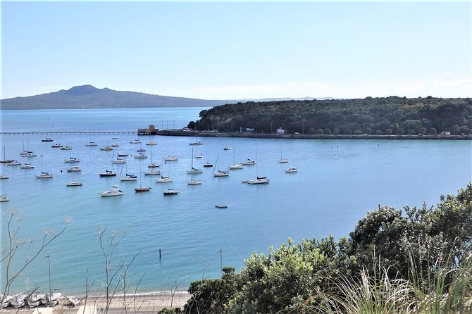 Half-Day: Small Group Auckland Scenic Tour - 4 HOURS - Tour Overview