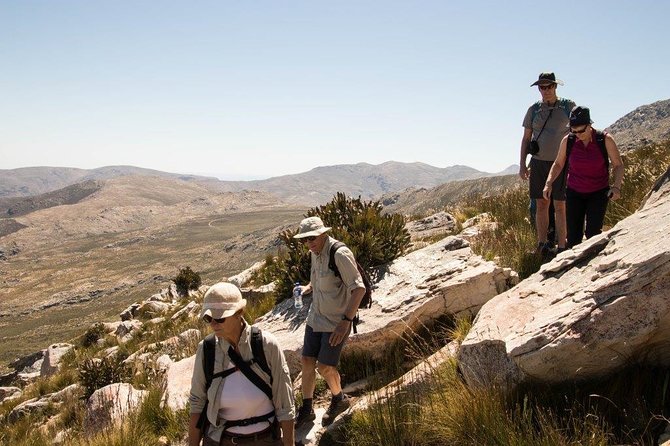 Half-Day Swartberg Pass PRIVATE Tour (Including Lunch & Transfer – Oudtshoorn)