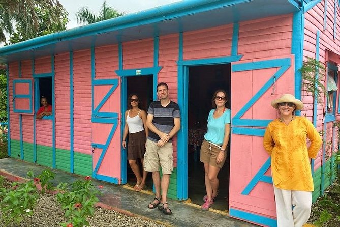 Half-Day Tour: Dominican Discovery Of a Culture - Inclusions and Pricing