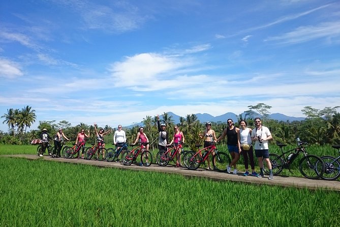 Half-Day Ubud Electric Cycling Tour to Tirta Empul Water Temple - Tour Overview