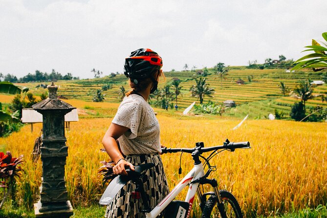 Half-Day Ubud Rice Field and Village Cycling Tour - Tour Overview