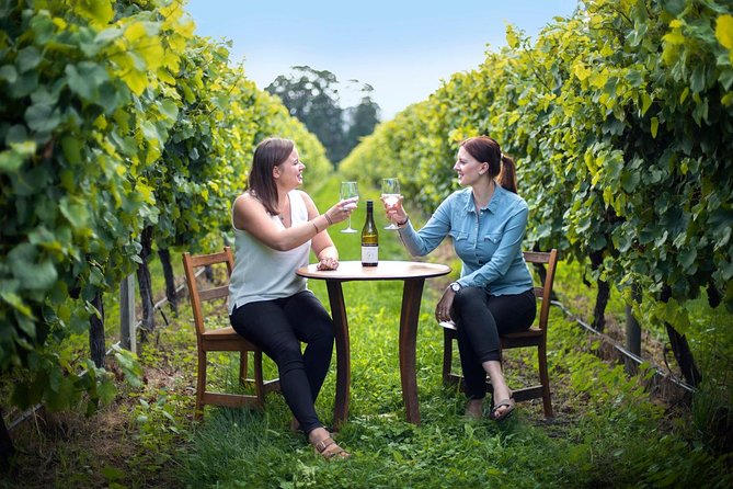 Half-Day Wine Tour From Picton - Tour Overview