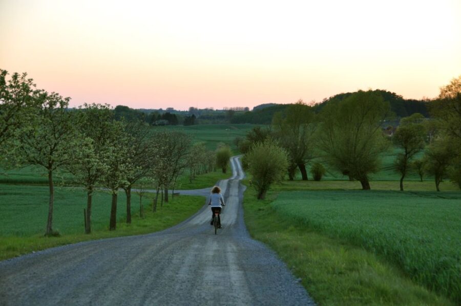 Hällåkra: Cycling or Hiking With Wine Tasting