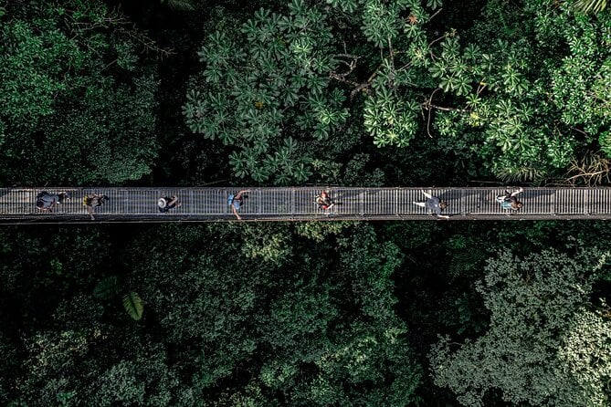 Hanging Bridges Walk in Arenal Volcano