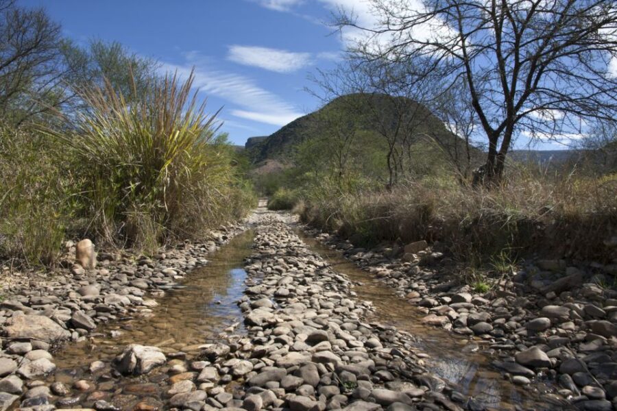 Hankey: Baviaanskloof Full-Day Guided Safari Trip With Lunch