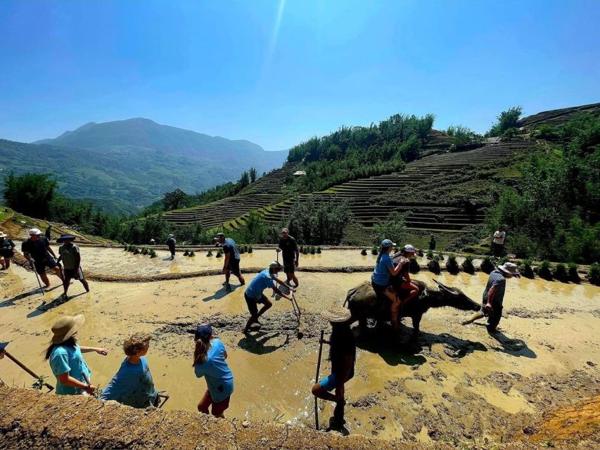 Hanoi: Transfer to or From Sapa by a VIP Sleeper Bus - Service Description