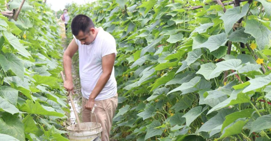 Hanoi: Village Farm Tour and Cooking Class With Lunch