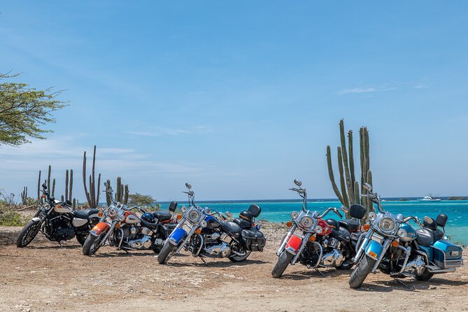 Harley-Davidson RENTALS ONLY 8 Hrs