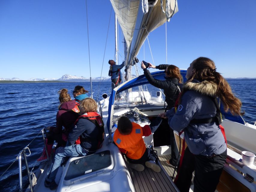 2 Best Sailing Experiences In Harstad