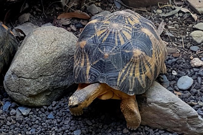 Hartleys Crocodile Adventures General Entry Ticket - Overview of Hartleys Crocodile Adventures