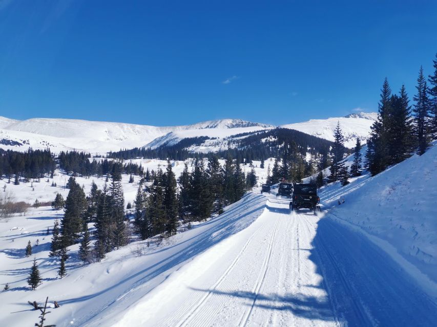 Hatcher Pass: Heated & Enclosed ATV Tours - Open All Year! - Tour Overview