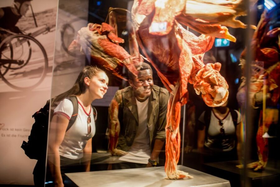 Heidelberg: BODY WORLDS Museum Entrance Ticket - Ticket Details