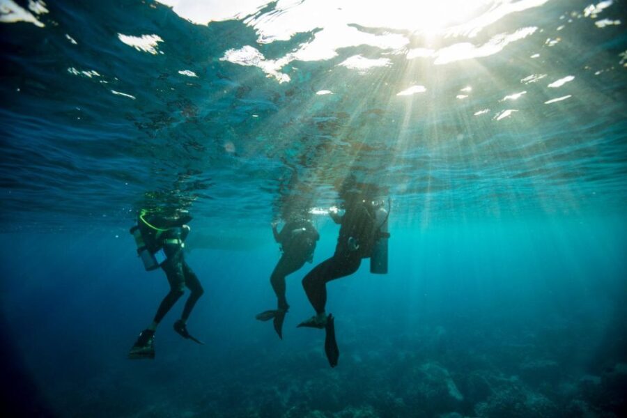 4 Best Scuba Diving Experiences In Agia Pelagia
