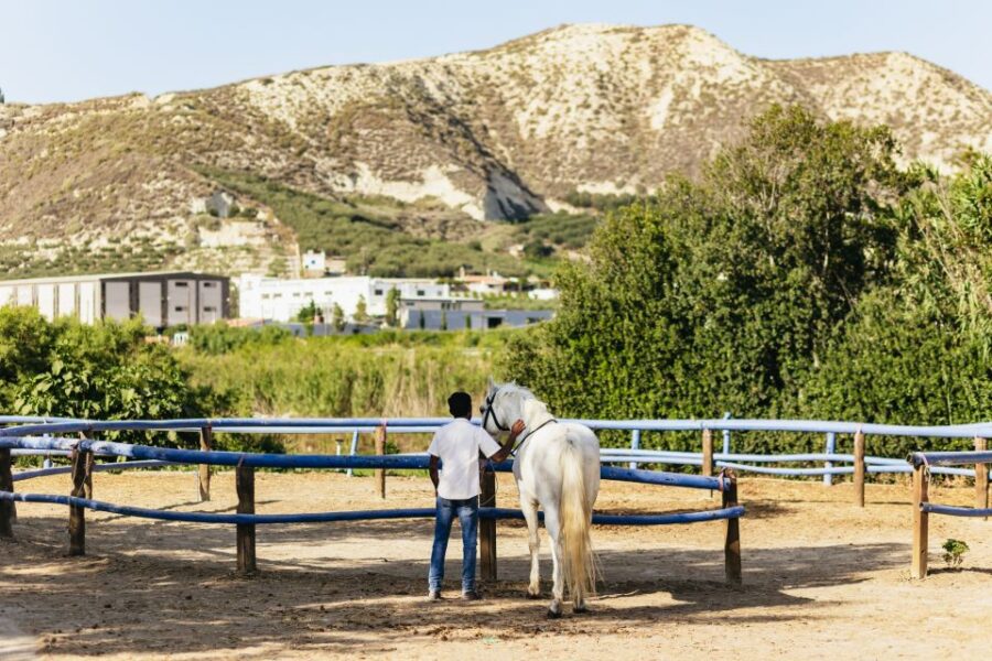 Heraklion: Finikia Horse Riding Tour With Lunch or Dinner