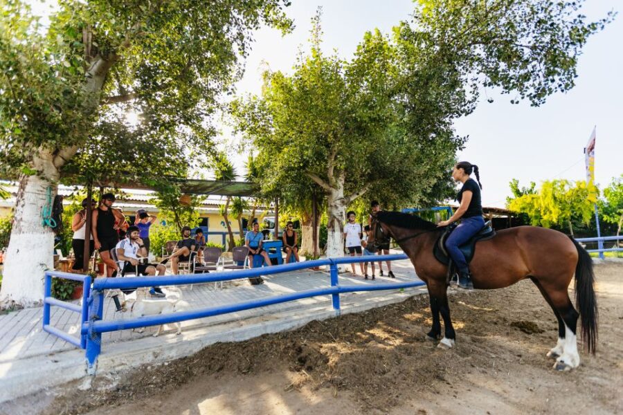 Heraklion: Horse Ride in the Cretan Mountains - Activity Overview