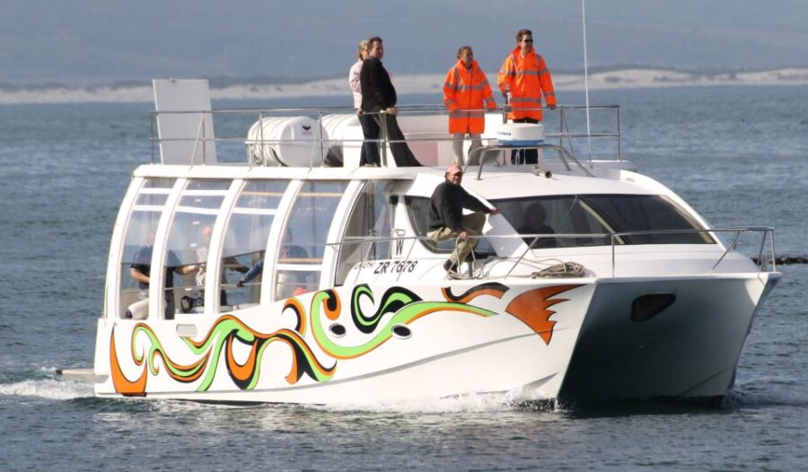 3 Best Cruises And Boat Tours In Hermanus