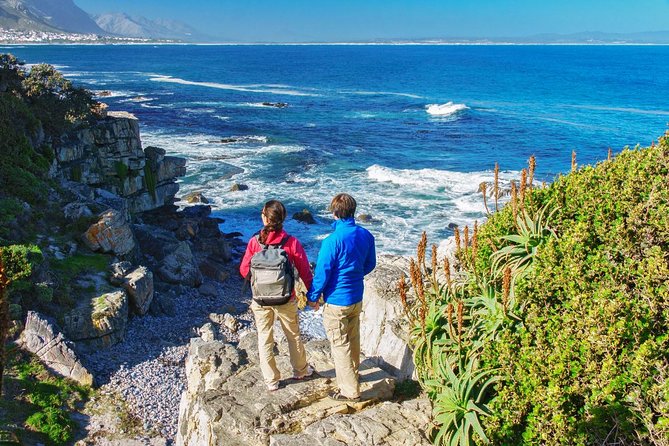 Hermanus Whale Watching Day Trip From Cape Town - Overview of the Tour