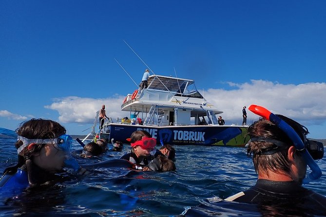 Hervey Bay Whale Swim and Watch