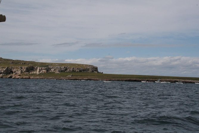 Hidden Beach Marietas Islands Experience - Overview of the Tour