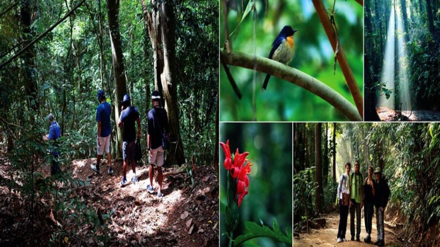 Highilghts Places in High Country of Sri Lanka (Kandy)By Tuk