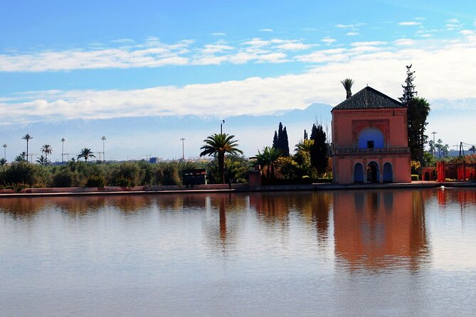 Highlights of Medina - Immersive Cultural Experience