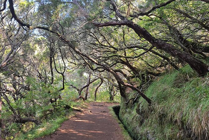 Hike 25 Fontes & Risco Levada Self-Guided - Group Size and Cancellation