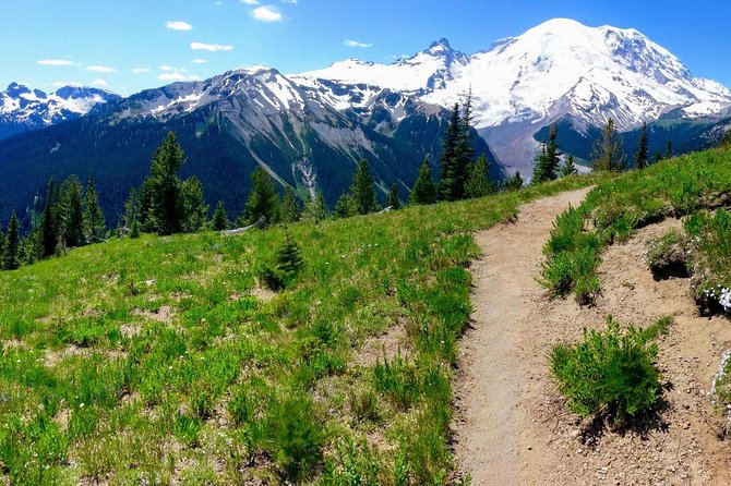 Hike Mt. Rainier & Taste Yakima Valley Wine: All-Inclusive Day Tour From Seattle - Tour Overview