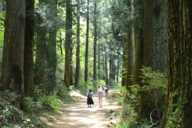 Hike the Hakone Hachiri